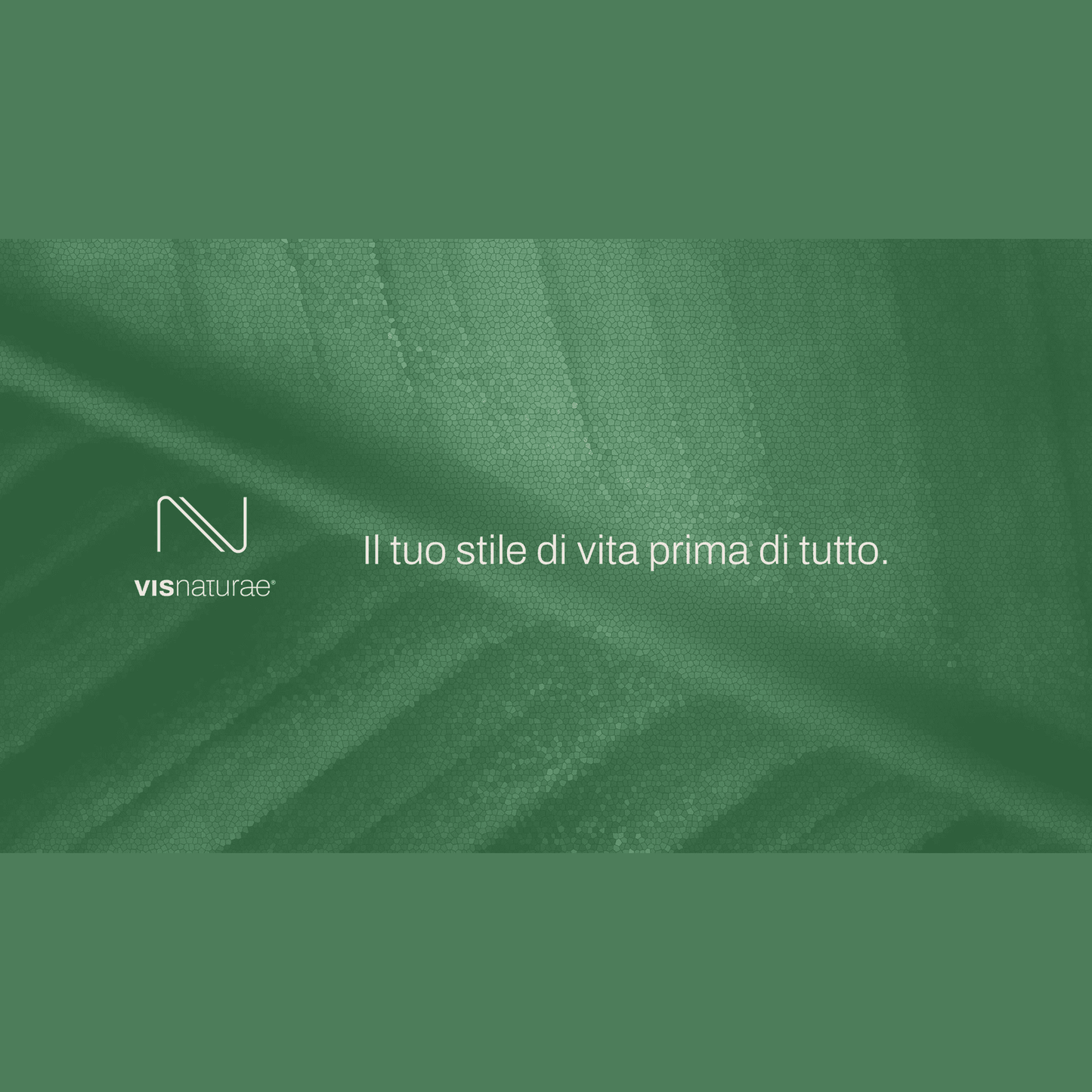Integratore per la Prevenzione del Colesterolo PPG Lipid Less Visnaturae a base di Policosanoli e Berberis