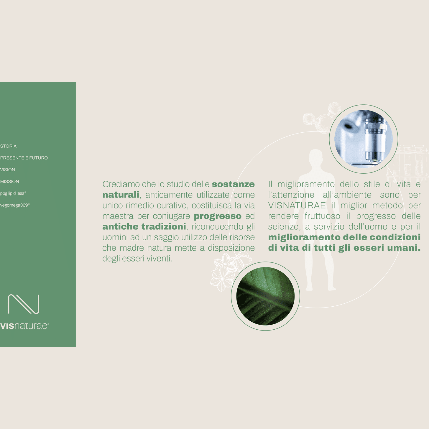 Integratore per la Prevenzione del Colesterolo PPG Lipid Less Visnaturae a base di Policosanoli e Berberis