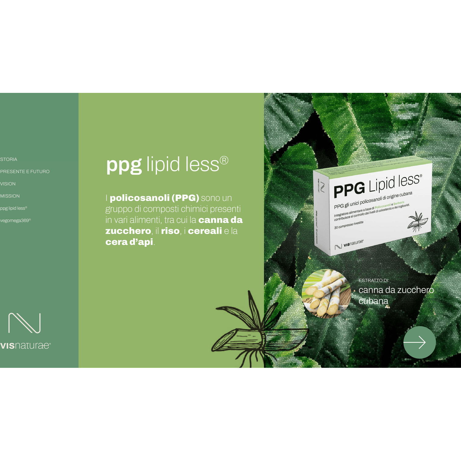 Integratore per la Prevenzione del Colesterolo PPG Lipid Less Visnaturae a base di Policosanoli e Berberis