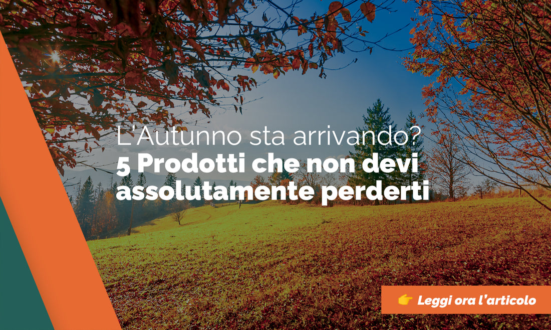 5 Prodotti per il prossimo Autunno che non devi assolutamente perderti!