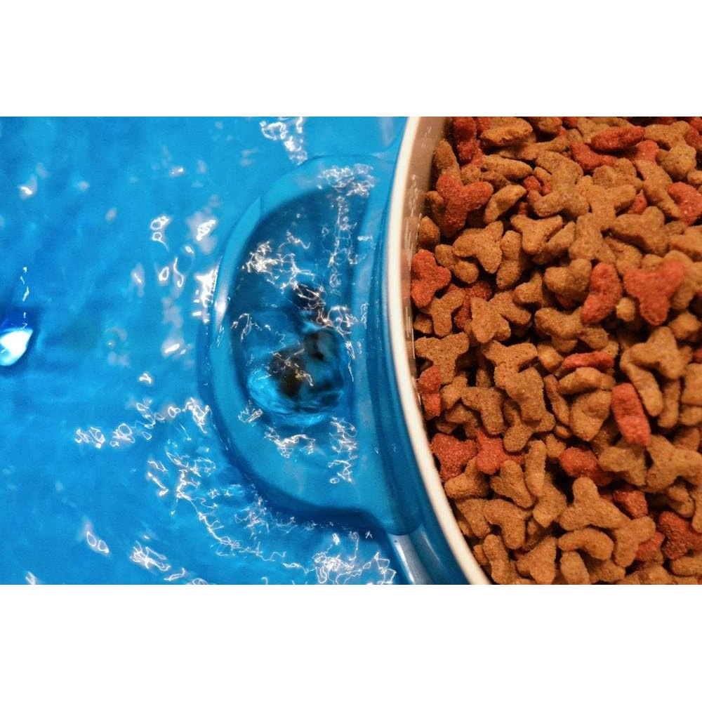 Bimar HI.PET PFC1 Fontanella per gatti e cani con Ciotola per Cibo, Dispenser Acqua da 3 Litri con Filtri carbone attivo per Ridurre Odori, Ciotola in ABS 0,8L con Scala Graduata e Comoda Impugnatura